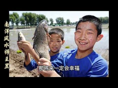 夢到魚生小魚|夢見大魚生小魚